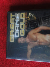 Load image into Gallery viewer, Vintage Adult Gay Porn DVD XXX Movie SEALED Great Dane Gold FF