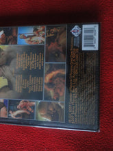 Load image into Gallery viewer, Vintage Adult Gay Porn DVD XXX Movie SEALED Great Dane Gold FF