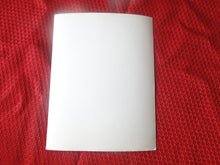 Load image into Gallery viewer, Vintage Early Pinup Erotic Sexy Adult Woman Hairy Bush 5 x 4 Photo AB