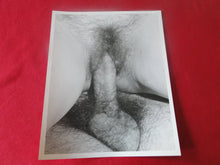 Load image into Gallery viewer, Vintage Nude Woman Erotic Adult Photo 8 x 10 Housewife Slut Hairy Pussy     E4