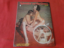 Load image into Gallery viewer, Vintage Nude Erotic Sexy Adult Magazine Splendor On The Grass JB27