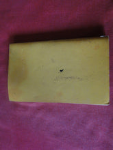 Load image into Gallery viewer, Vintage Erotic Adult Paperback Book/Novel Greenleaf Bedtime With Daughter ROUGH PB3