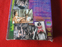 Load image into Gallery viewer, Vintage Adult XXX VHS Porn Tape Adult Video Movie Vanessa's Wild Reunion V3
