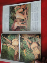 Load image into Gallery viewer, Vintage Nude Erotic Sexy Adult Magazine Leg Show December 1995 JB1