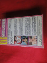 Load image into Gallery viewer, Vintage Adult XXX VHS Porn Tape Adult Video Movie Big Melons V.17 X33