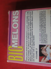 Load image into Gallery viewer, Vintage Adult XXX VHS Porn Tape Adult Video Movie Big Melons V.17 X33