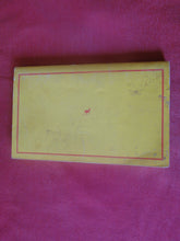 Load image into Gallery viewer, Vintage Adult Paperback Novel/Book Families On Vacation Greenleaf ROUGH PB5