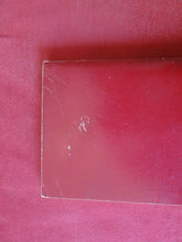 Load image into Gallery viewer, Vintage Adult Paperback Novel/Book The Family's Horny Daughters Patch Pokets PB5