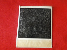 Load image into Gallery viewer, Vintage 1980s Erotic Sexy Polaroid Nude Woman Photo Hispanic Honey Hairy Bush AB12