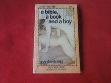 Load image into Gallery viewer, Vintage Adult Paperback Novel/Book Gay Interest A Bible, A Book and A Boy P85