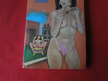 Load image into Gallery viewer, Vintage Adult Paperback Book/Novel Keri & Jodi P91