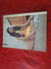 Load image into Gallery viewer, Vintage Nude Erotic Sexy Adult Magazine Teasers Annual #2 1977 HUGE P89