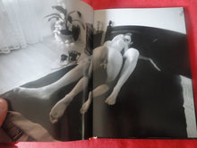 Load image into Gallery viewer, Vintage Hardcover Erotic Nude Women Picture Book Sinsation Norbert Guthier Skylight