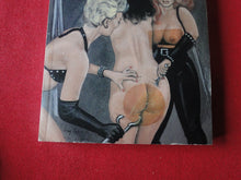 Load image into Gallery viewer, Vintage Adult Paperback Book/Novel Domina Aunt P14