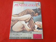 Load image into Gallery viewer, Vintage Nude Erotic Sexy Adult Magazine Penetration P70