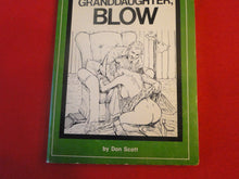 Load image into Gallery viewer, Vintage Adult Paperback Book/Novel Patch Pockets Blow, Granddaughter, Blow P54