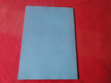 Load image into Gallery viewer, Vintage Nude Erotic Sexy Adult Magazine BDSM Blushes #24 P12