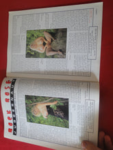 Load image into Gallery viewer, Vintage Nude Erotic Sexy Adult Magazine Juggs August 1996 P57