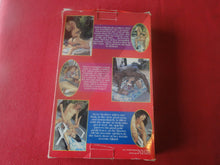 Load image into Gallery viewer, Vintage Adult XXX VHS Porn Tape Adult Video Anal Vision V. 13 BZ