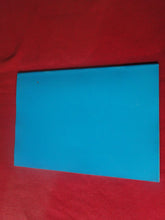 Load image into Gallery viewer, Vintage Nude Erotic Sexy Adult Magazine BDSM Supplement From Blushes #15 P12