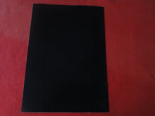 Load image into Gallery viewer, Vintage Nude Erotic Sexy Adult Magazine BDSM Supplement From Blushes #13 P12