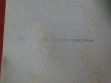 Load image into Gallery viewer, Vintage 1980s Nude Erotic Sexy Nude Woman Photo Hispanic Honey 4 x 6 DDi