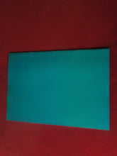 Load image into Gallery viewer, Vintage Nude Erotic Sexy Adult Magazine BDSM Supplement From Blushes #34 P12