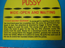 Load image into Gallery viewer, Vintage 8MM Adult Pornographic Smoker Stag Film Hungry Pussy 2 PB2