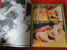 Load image into Gallery viewer, Vintage Nude Erotic Sexy Adult Magazine Teen Temptations JB21