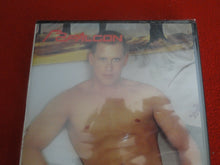 Load image into Gallery viewer, Vintage Adult All Male Gay XXX DVD SEALED NOS Falcon Branded        B4