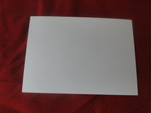 Load image into Gallery viewer, Vintage Gay Interest Nude Hot Hung Male Photo 5 x 7 Young Orgy    H52d