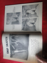 Load image into Gallery viewer, Vintage Nude Erotic Sexy Adult Magazine Sassy 1985 EA