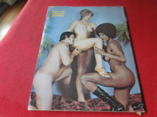 Load image into Gallery viewer, Vintage Nude Erotic Sexy Adult Magazine Orgy 1971 A BIT ROUGH JB28