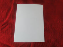 Load image into Gallery viewer, Vintage Gay Interest Nude Hot Hung Male Photo 5 x 7 2 Hot Young Studs    H52