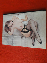 Load image into Gallery viewer, Vintage Nude Erotic Sexy Adult Magazine Parliament Quick Licks 1978 BACK PAGES WATER DAMAGE JB21