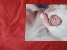 Load image into Gallery viewer, Vintage Gay Interest Nude Hot Hung Male Photo 5 x7 Masturbation     H52