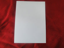 Load image into Gallery viewer, Vintage Gay Interest Nude Hot Hung Male Photo 5 x7 Threeway Blow Jobs     H52