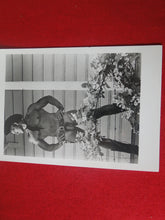 Load image into Gallery viewer, Vintage Gay Interest COLT Nude Black & White Hot HUNG Male Photo ADm