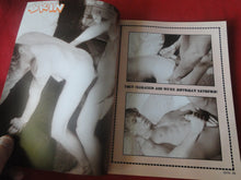 Load image into Gallery viewer, Vintage Adult Erotic Sexy Magazine Gay Interest Big Skin Collection #3 1995 50