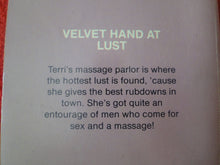 Load image into Gallery viewer, Vintage Adult Paperback Novel/Book Bee Line Sexually Loose Masseuse 1981 HC3