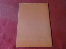 Load image into Gallery viewer, Vintage Nude Erotic Sexy Adult Magazine BDSM Blushes #40 P11