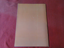 Load image into Gallery viewer, Vintage Nude Erotic Sexy Adult Magazine BDSM Blushes #50 P11