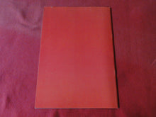 Load image into Gallery viewer, Vintage Nude Erotic Sexy Adult Magazine BDSM Blushes #46 P11