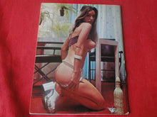 Load image into Gallery viewer, Vintage Nude Erotic Sexy Adult Magazine 285 Loving Ends Parliament 1974 P87
