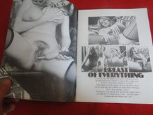 Load image into Gallery viewer, Vintage Nude Erotic Sexy Adult Magazine Big Bosoms 1977 P84