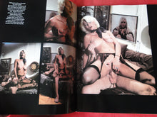 Load image into Gallery viewer, Vintage Nude Erotic Sexy Adult Magazine Swedish Erotica Rockin' With Seka John Holmes P85