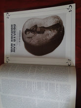 Load image into Gallery viewer, Vintage Nude Erotic Sexy Adult Magazine Gallery April 1973 JB54
