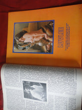 Load image into Gallery viewer, Vintage Nude Erotic Sexy Adult Magazine Gala February 1974 JB54