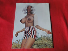 Load image into Gallery viewer, Vintage Nude Erotic Sexy Adult Magazine 287 Juicy Jugs 1975 P85