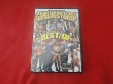 Load image into Gallery viewer, Vintage Adult Erotic Sexy Porn XXX DVD Gangland White Boy Stomp Best of BT1